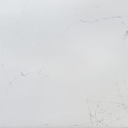 Genesis Cobweb