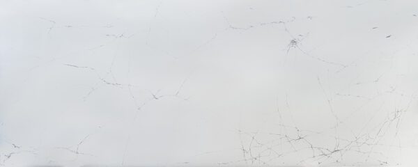 Genesis Cobweb